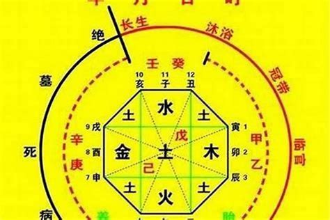 五行喜忌查询|八字喜用神在线查询器,五行喜什么查询免费